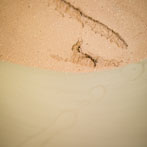 John Higgins at work in his studio 2018